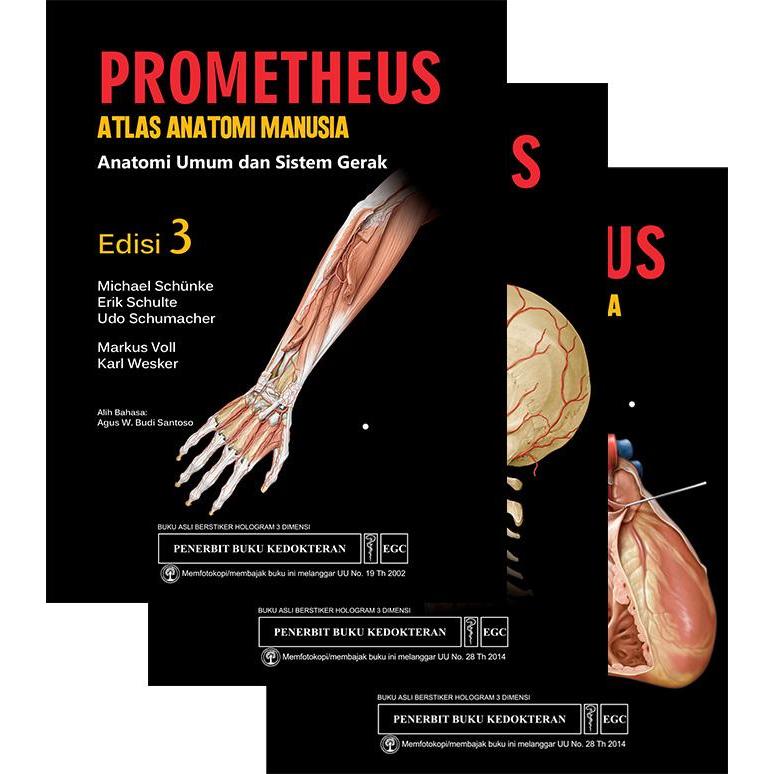 EGC Prometheus Atlas Anatomi Manusia Edisi 3 (3 Buku)