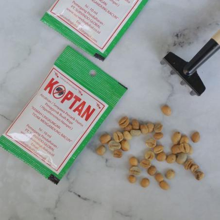 "New" Feromon & Perangkap Hama Penggerek Buah Kopi PBKo KOPTAN