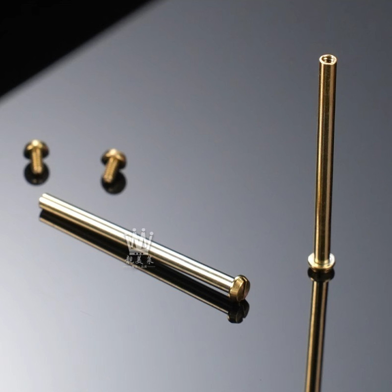 GMW-B5000 Stainless Steel Screw Rod for Casio GMW B5000 Metal Watch Connecting Rod Strap Screw Rod
