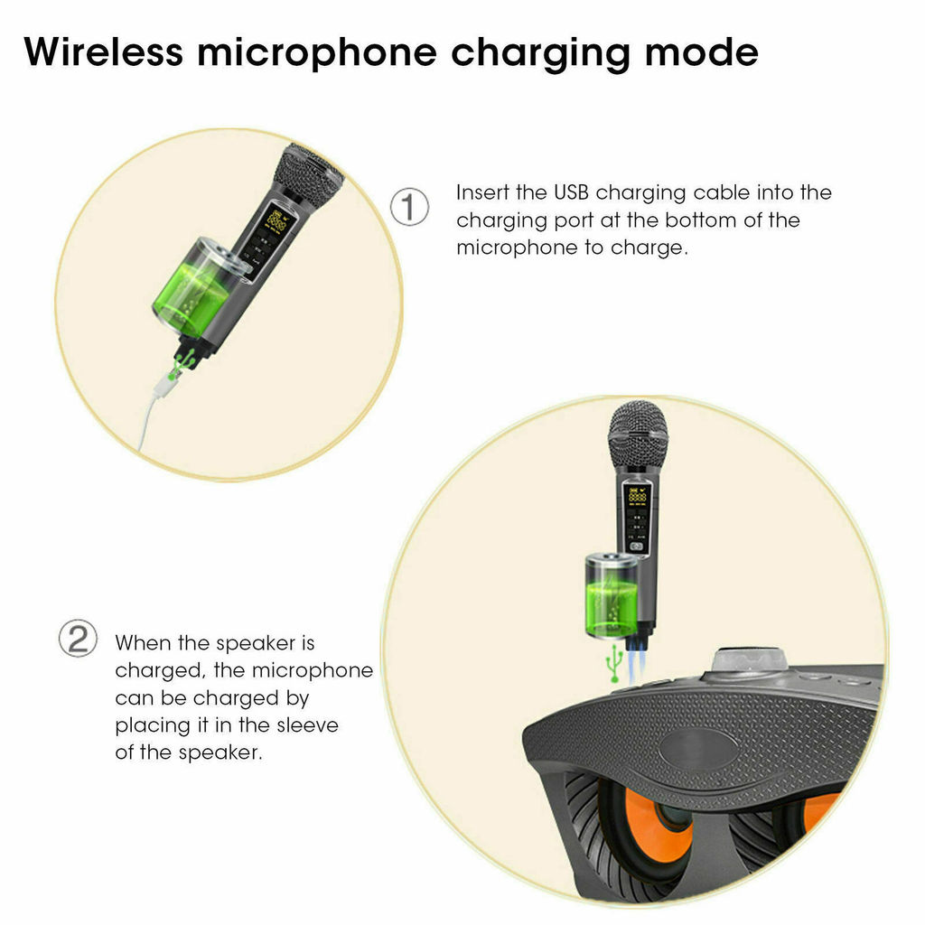 SD306Plus Professional Karaoke Machine Wireles Bluetooth Speaker With Dual Mic Outdoor Family KTV