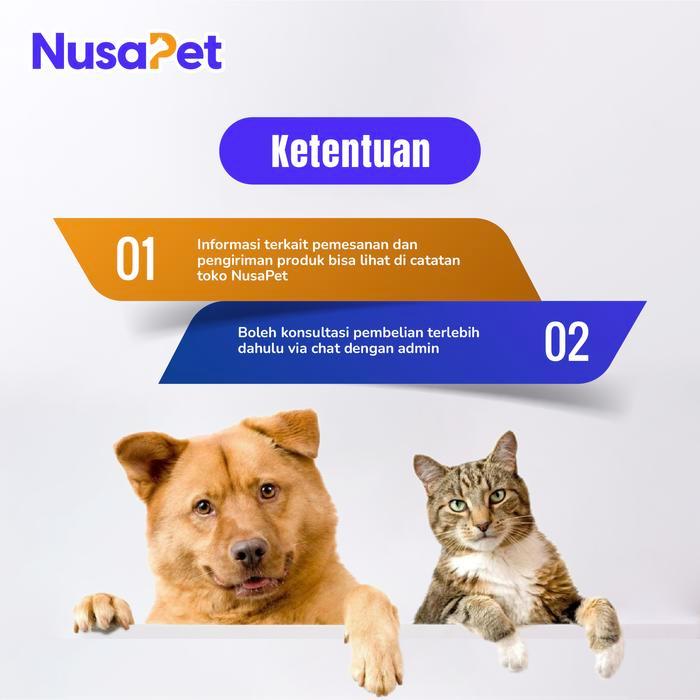 Obat Fip Kucing - Obat Fipv Kucing Cair 1 Vial Botol (6 Ml) Murah