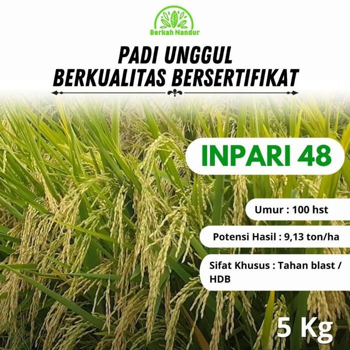ASLI Benih Padi Inpari 48 Blast Padi Unggul 5 kg READY STOCK