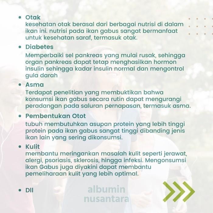 Sari Pati Ikan Gabus Albumin Nusantara Penyembuh Luka
