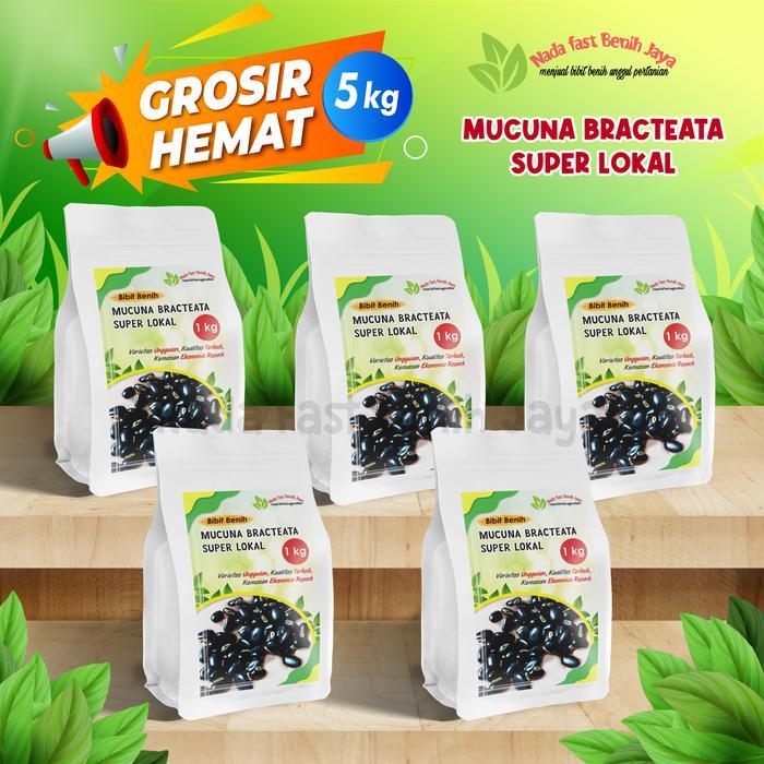 SIAPKIRIM 5 KG Bibit Mucuna/benih mucuna bracteata super lokal LCC MB LOKAL READY STOCK