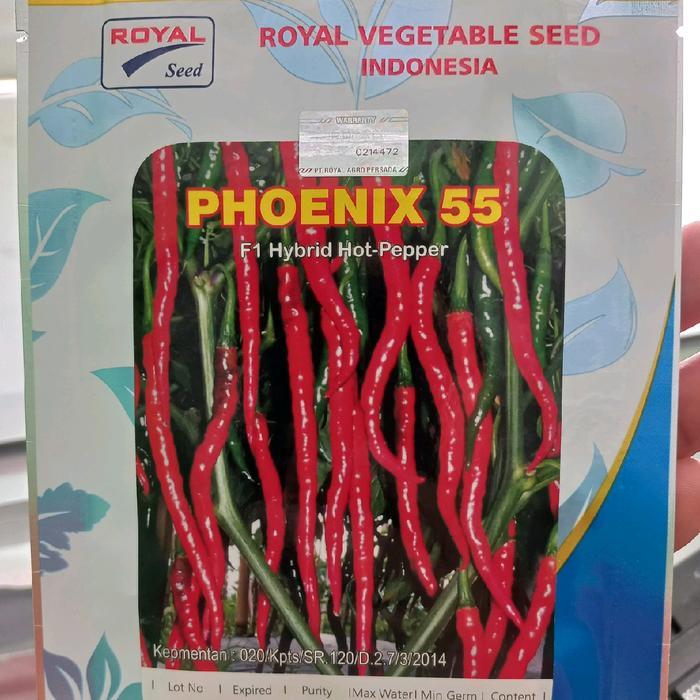 ASLI Cabai kriting F1 10 Gr Royal Seed READY STOCK