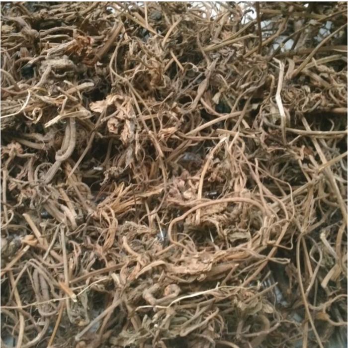Akar Purwoceng Asli 100gr  Akar Purwoceng