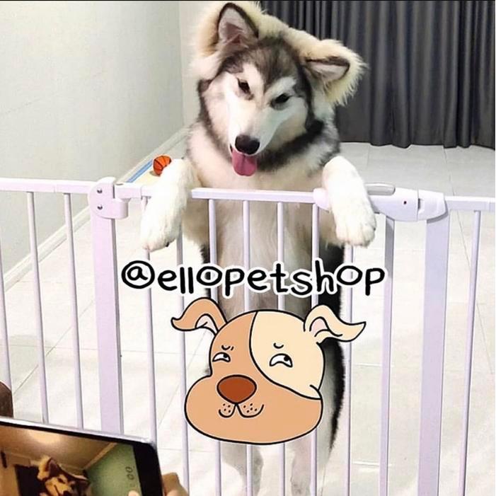 Pagar pembatas hewan / gate anjing kucing tinggi 1 M / kandang pagar