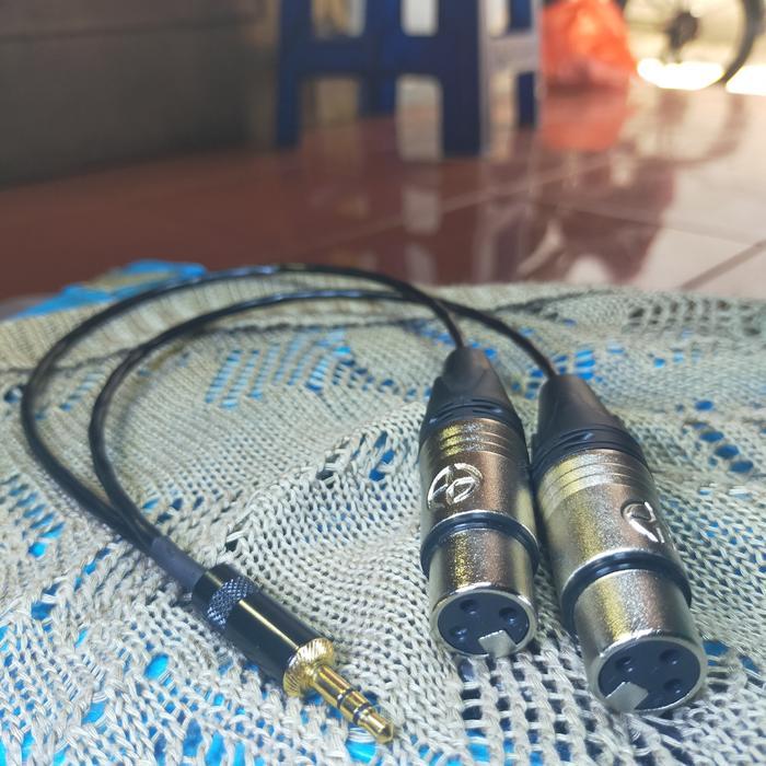 Pesanan Jack 3.5 Mm To 2 Xlr Female Audio Splitter 3.5 Stereo To Xlr Terlaris