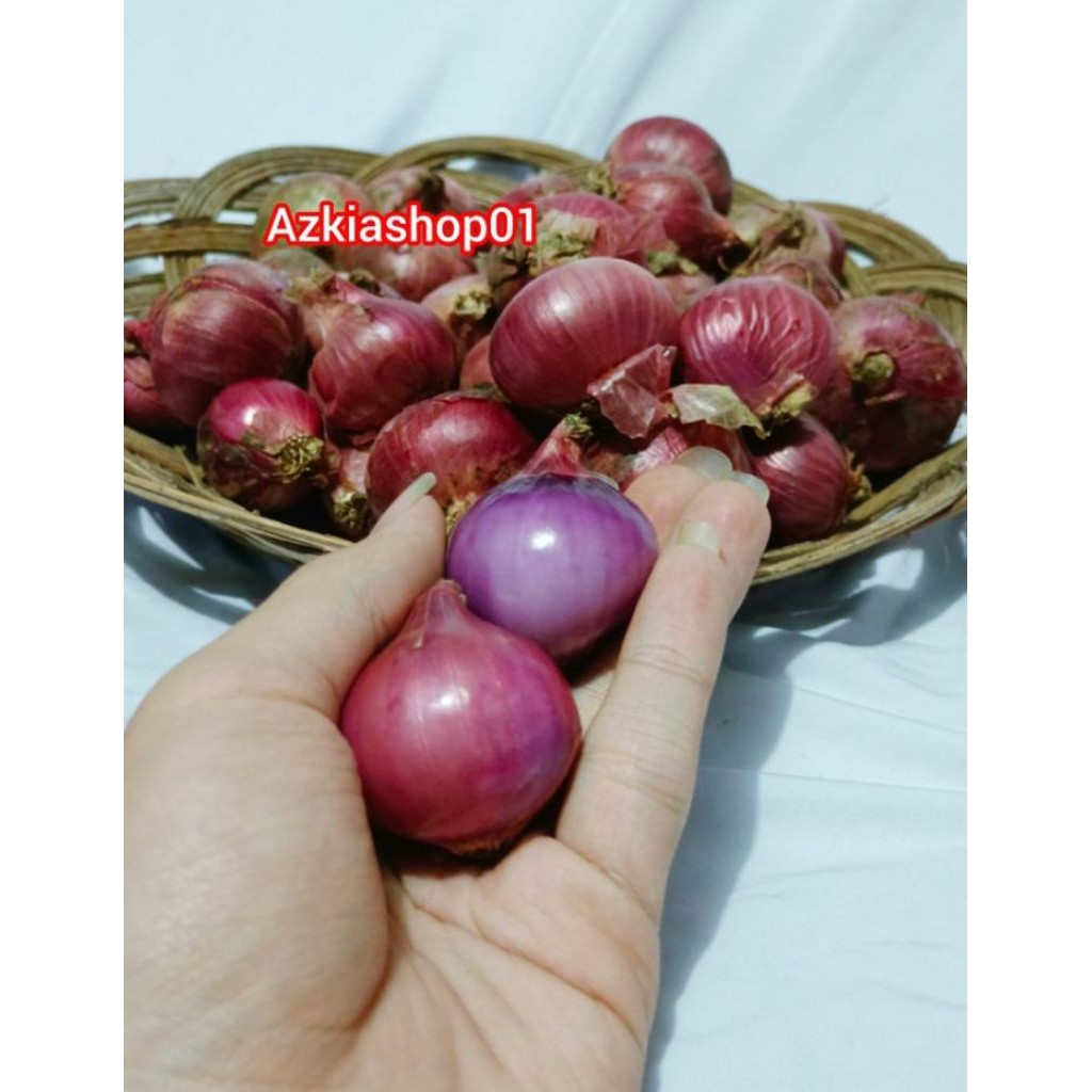 Bawang Merah lokal Jumbo Besar