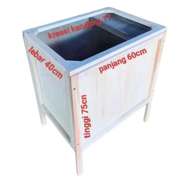 Promo Box Jangkrik Ukuran Jumbo / Kandang Jangkrik
