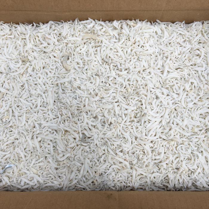 "New" Ikan teri medan / teri medan super