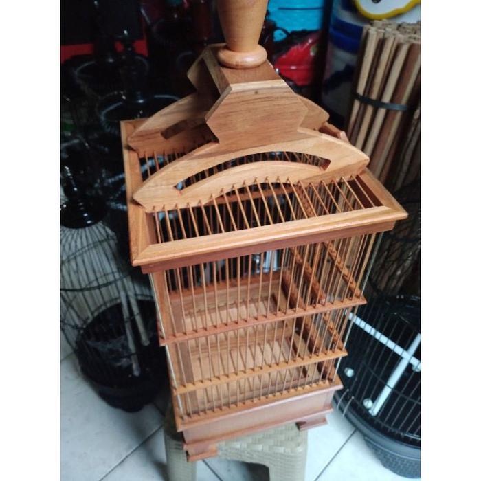Sangkar Pleci Pcmi Pernis