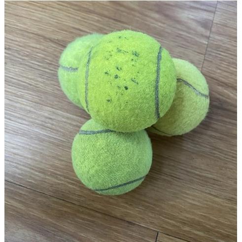 Bola Kasti Atau Bola Tenis Lapangan Bekas