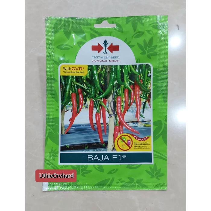Benih Panah Merah Cabe Merah Besar Baja F1 SP isi 125 Benih