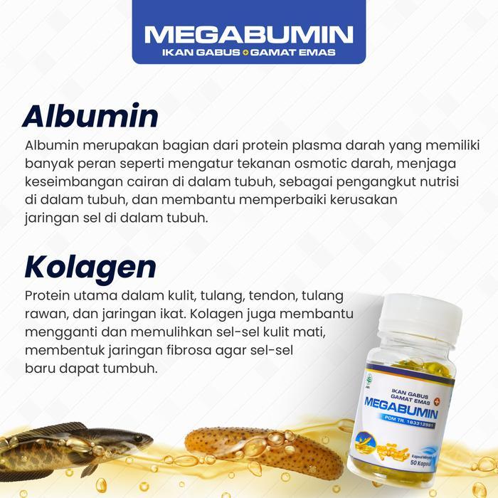 Megabumin - Suplemen Albumin Kapsul Minyak Ikan Gabus Untuk Obat Luka Pasca Melahirkan Operasi