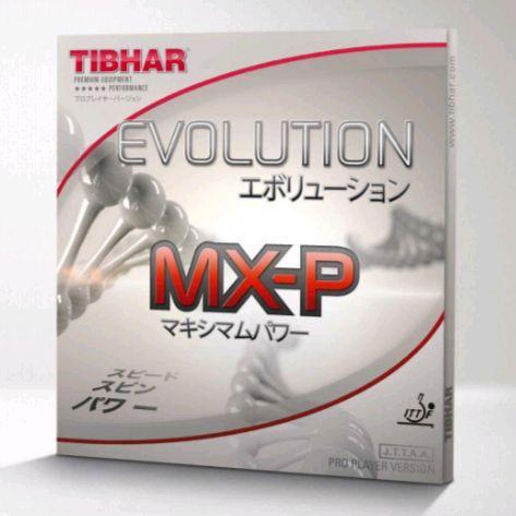Tibhar Evolution MX-P karet pingpong best seller