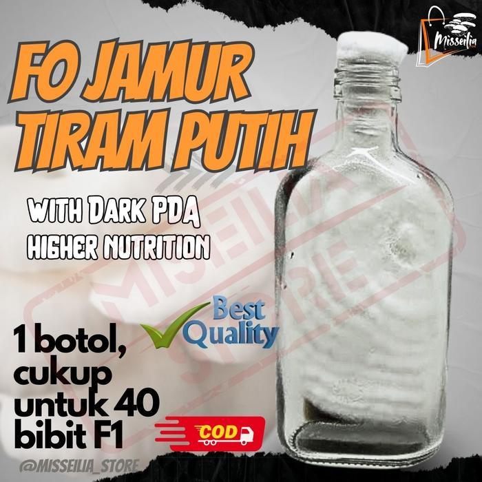 ASLI Bibit F0 Jamur Tiram Putih Benih Induk Miselium Sehat & Tebal Berkualitas- PDA Hitam Best