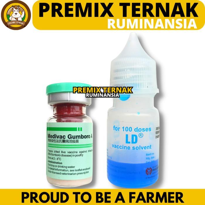 VAKSIN MEDIVAC GUMBORO A & B 100 DOSIS + PELARUT - Vaksin Gumboro IBD Aratan Ayam Burung Unggas