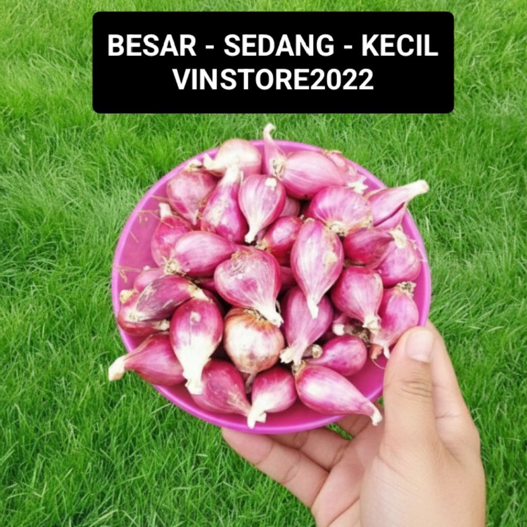 Bawang Merah Brebes 1kg BESAR SEDANG