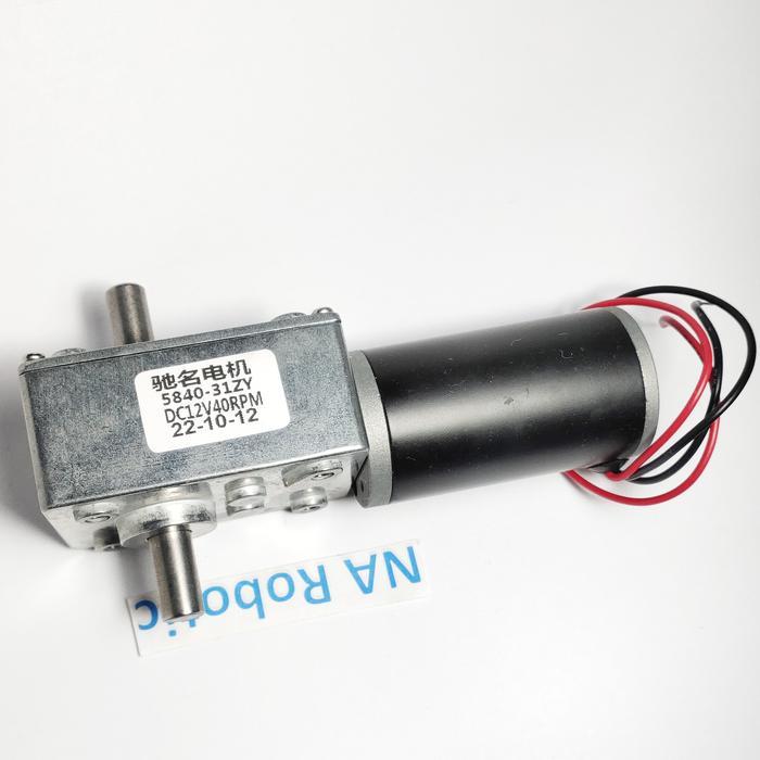 Motor DC 31ZY 12V 40RPM Dual Shaft