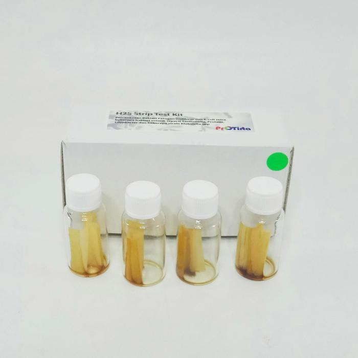 Pto Water Test Kit-10 Test Per Pack. Bakteri Patogen Test Strip H2S Untuk 10 Test Per Pkg