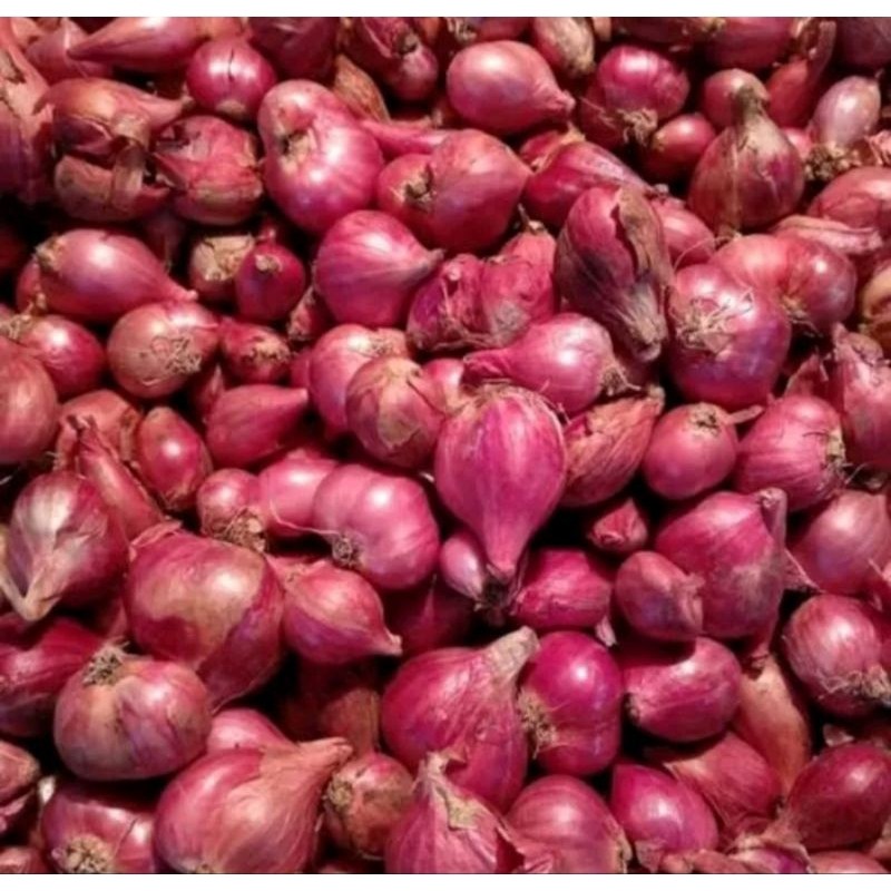 bawang merah Brebes super