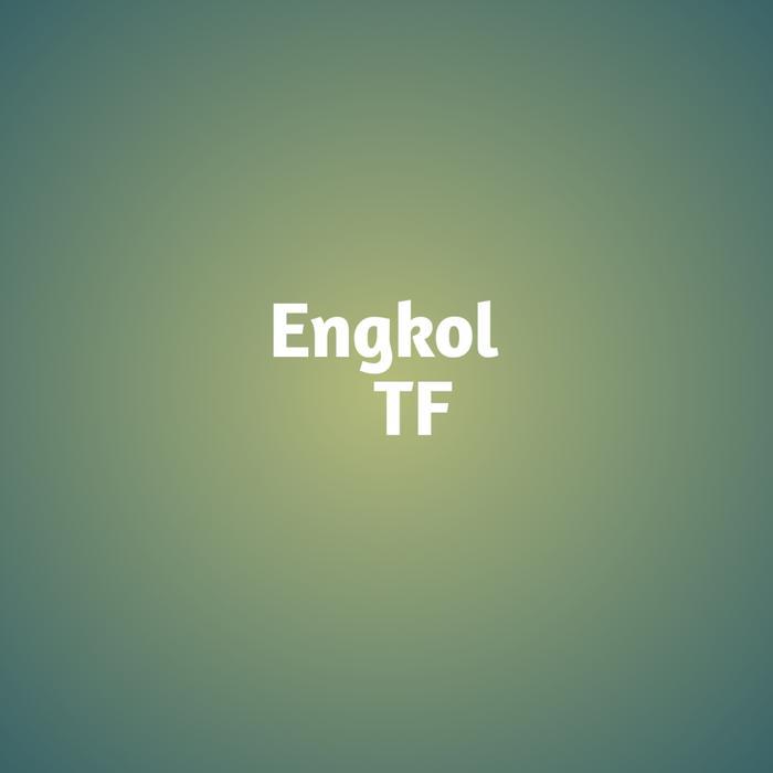 ENGKOLAN MESIN DIESEL YANMAR TF