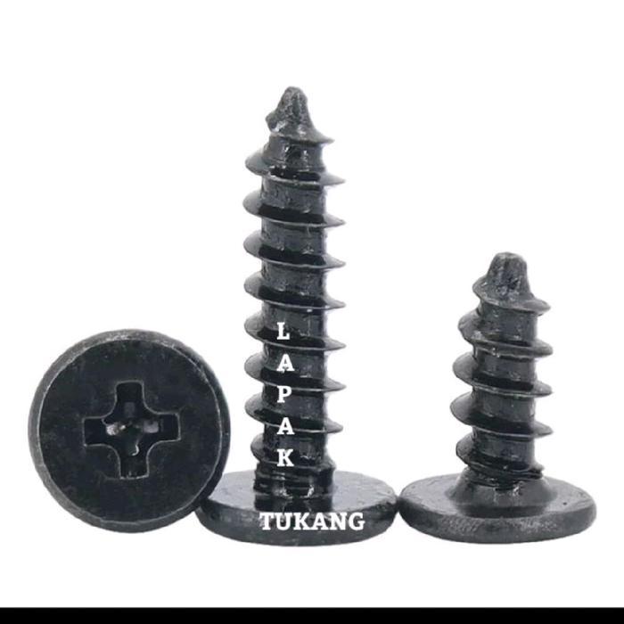Sekrup Hitam M2 Panjang 5mm 6mm 8mm 10mm - Baut Mini Kecil untuk Elektronik