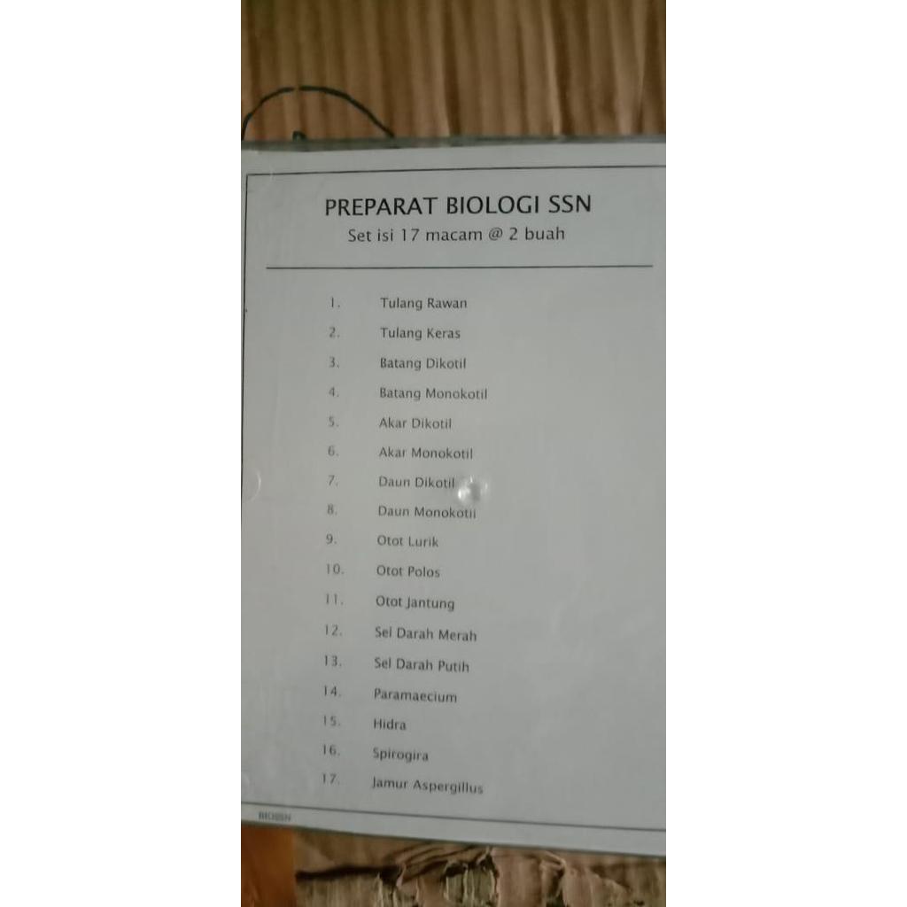 Preparat Kering 17 Macam / Set Preparat Awetan Biologi Ready