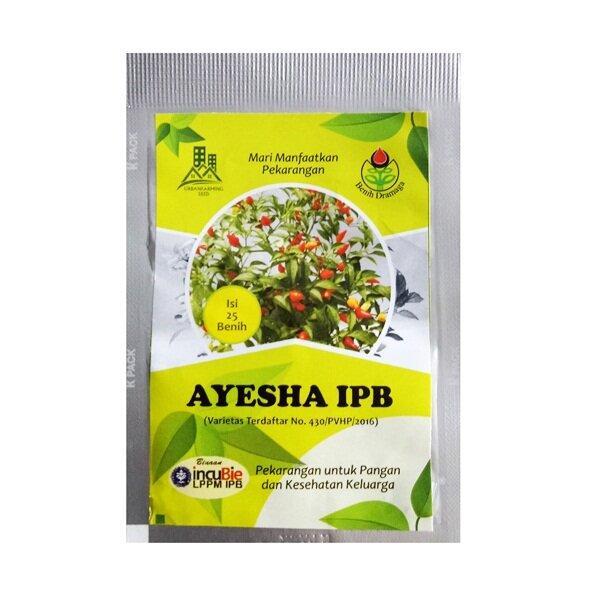 KOMPLIT Benih Bibit Cabe Hias Ayesha IPB 25 Biji Tanaman Cabai Unik Pelangi