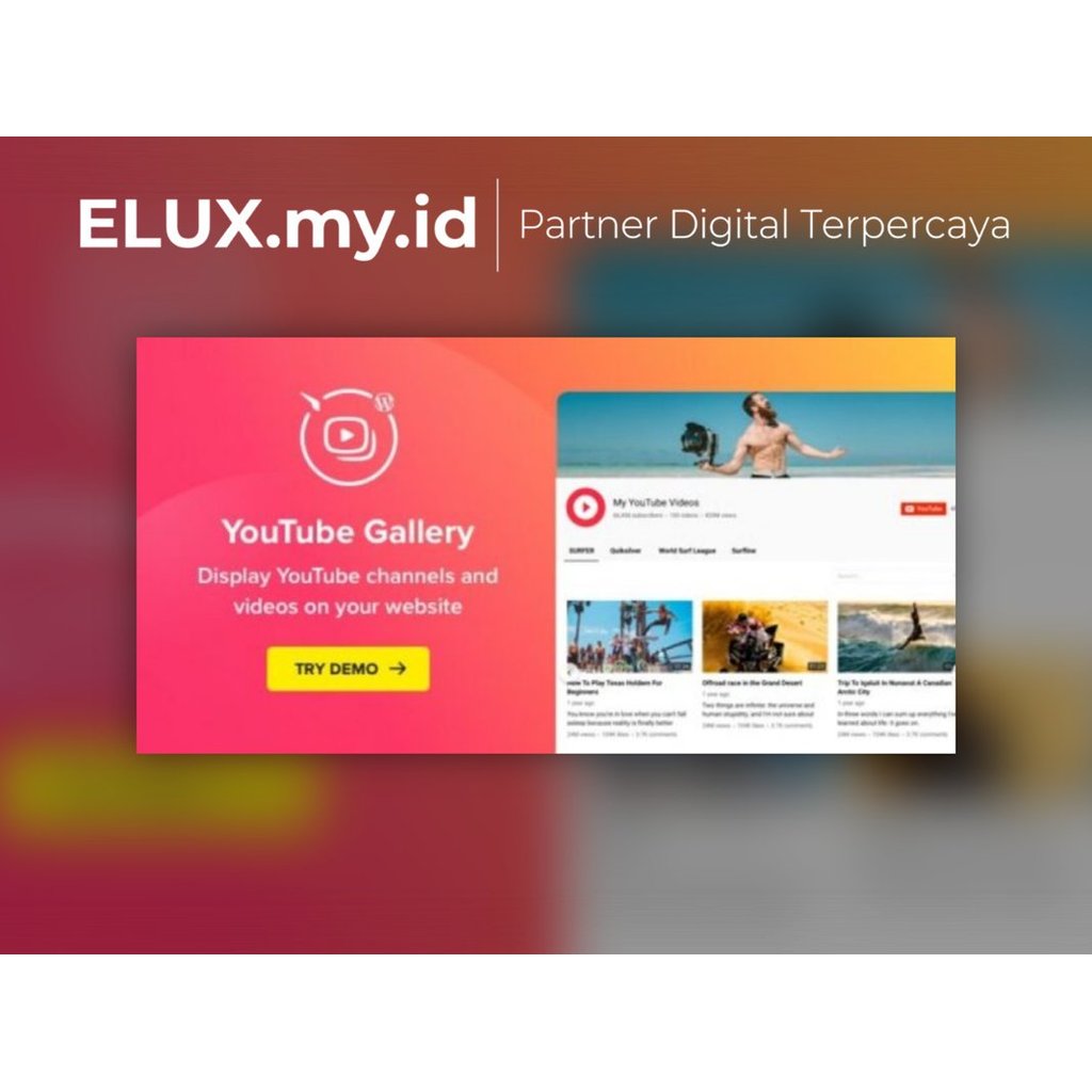 Youtube Plugin Wordpress Gallery Original Unlimited Domain Lifetime