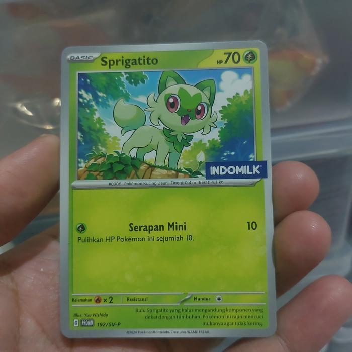 Pikachu EX Kartu Promo Indomilk Pokemon TCG Indonesia