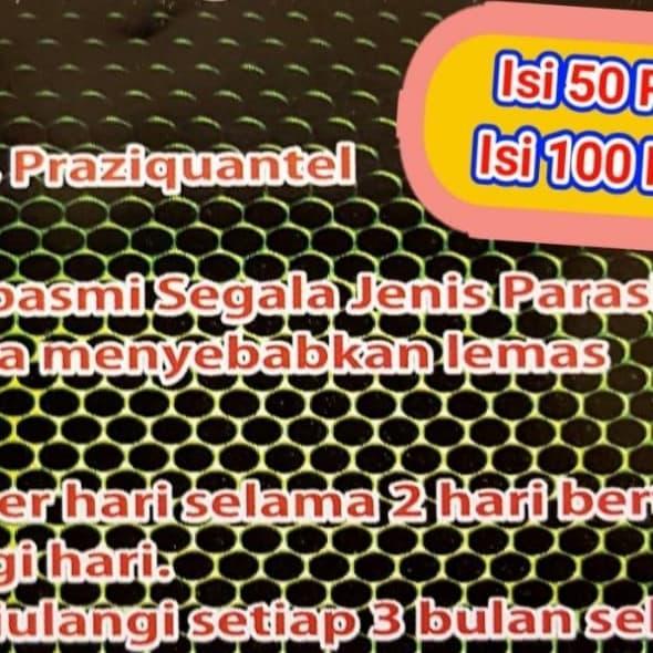 Obat Cacing Khusus Merpati Baron Worm Stop Isi 50 #Gratisongkir