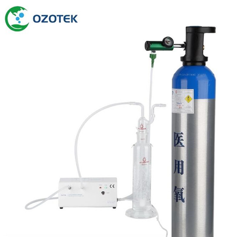 Ozone Therapy Medical Ozone Generator with Ozone Destructor & Oxygen Regulator 100-240V universal vo