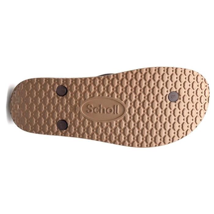 Scholl Biom Spectrum Choco Coffee Sandal Wanita Size 36-40 Women Sandals Karet #Gratisongkir
