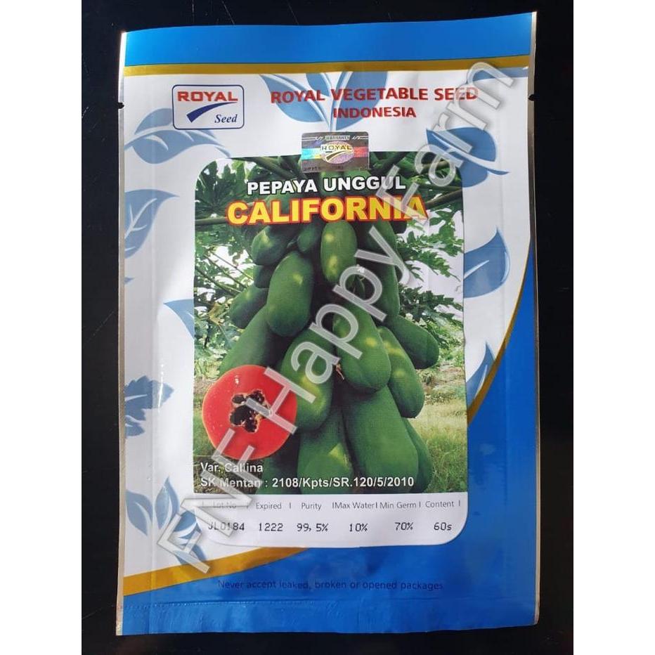 ASLI Benih Pepaya Royal California isi 60 r READY STOCK