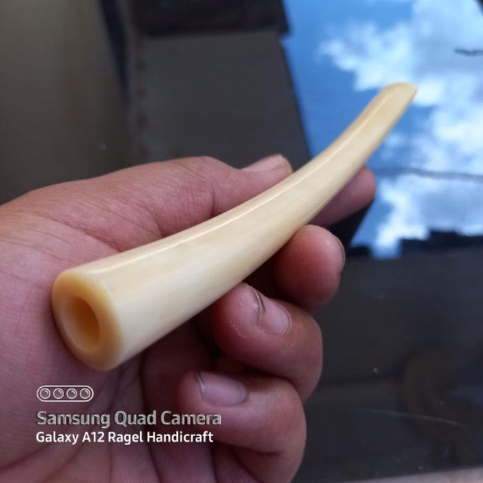HOT SALE PIPA ONCE TULANG IGA DUYUNG BULAT BENING TERMURAH