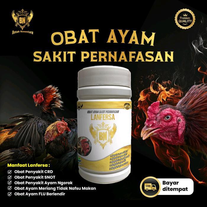 Promo Obat Ayam Ngorok & Flu Lanfersa Mengobati Ayam Sakit Ngorok Snot Crd Pilek Herbal Alami Ampuh