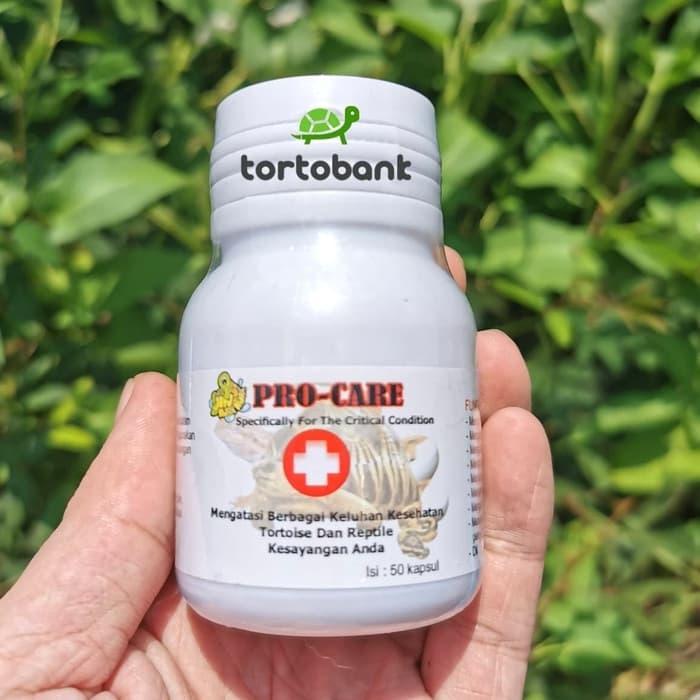 PROCARE OBAT PILEK KURA OBAT KURA OBAT NAPSU MAKAN KURA OBAT REPTIL