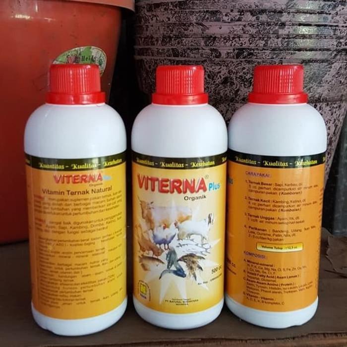 Promo Viterna Suplemen Ayam Cepat Besar - Vitamin Ayam Kampung Biar Cepat Besar Vitamin Ternak