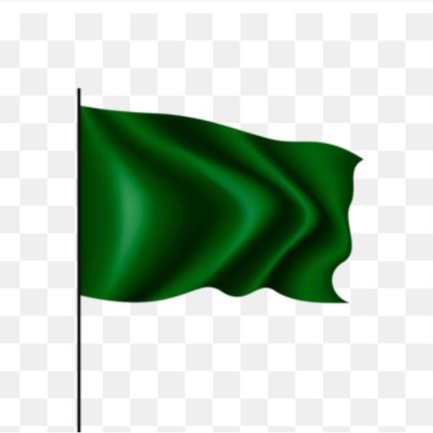 Bendera hijau, bendera polos,bendera kain,bendera hijau polos