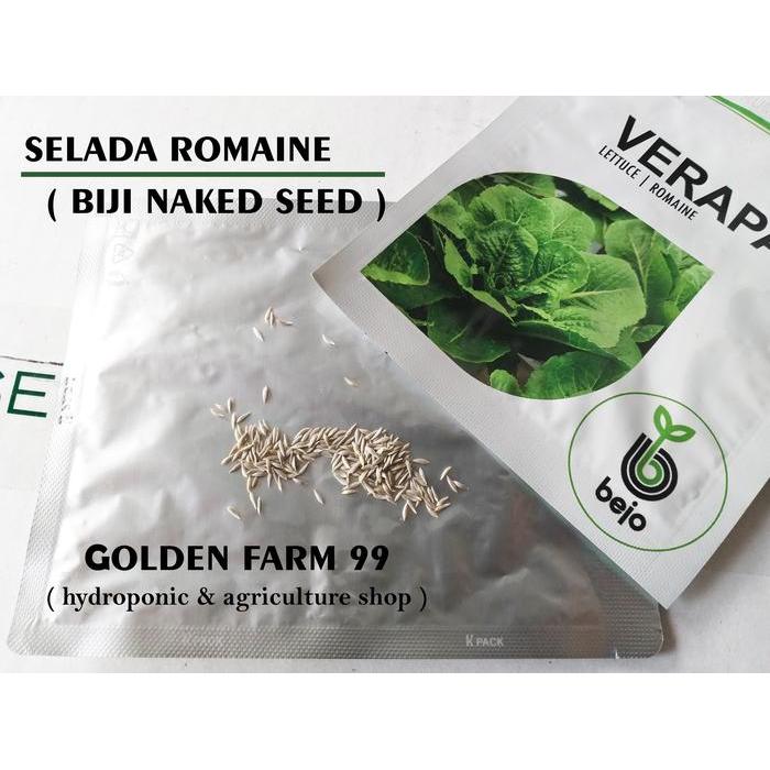 Benih Lettuce Romaine Verapas Bejo Seed - Import Gratis Ongkir