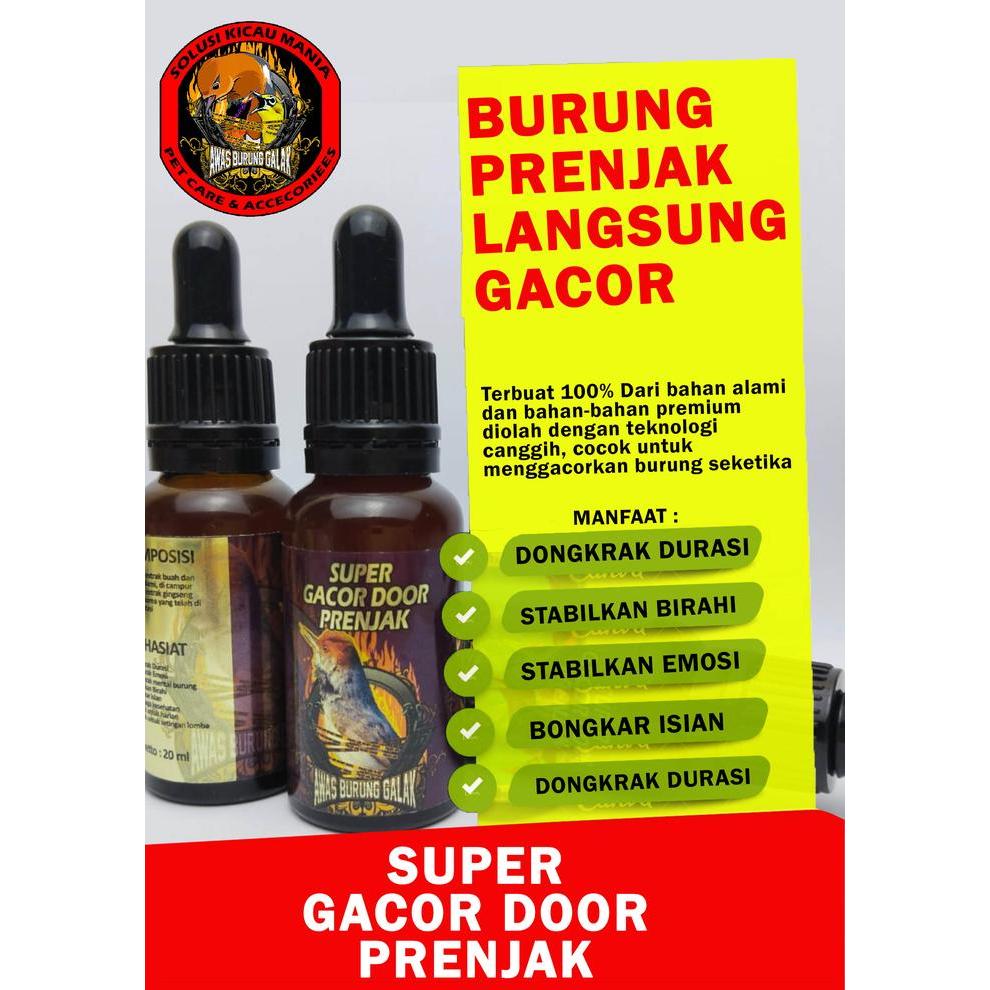 Super Gacor Door Prenjak Penggacor Seketika