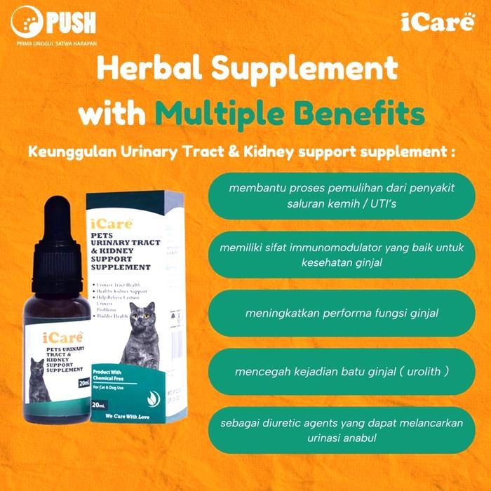 Obat Urinary Kucing I Care Urinary & Kidney 10Ml - Obat Gangguan Urine #Gratisongkir