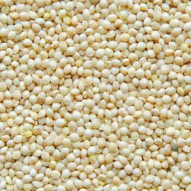 Promo Milet Putih 500 Gram - Milet Vita