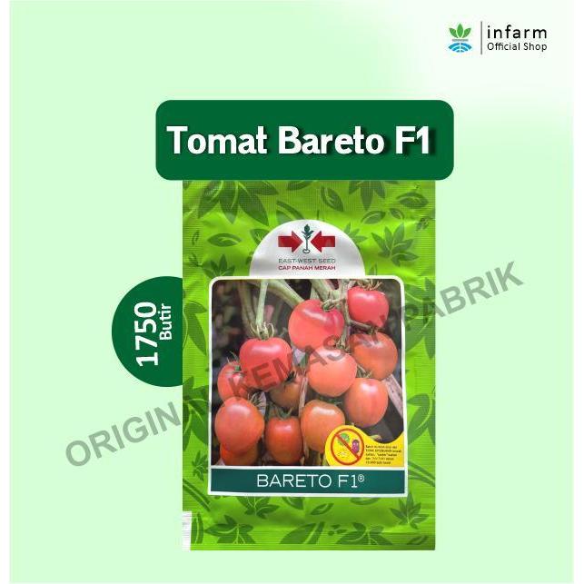 TERLARIS INFARM - Bibit Tomat Bareto F1 Benih Tomat Bareto 1750 Biji ginal READY STOCK