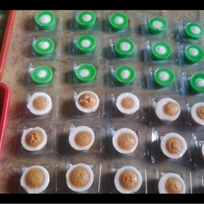 144 PCS Cetakan Kue Apem kecil / Cetakan cucing Plastik *