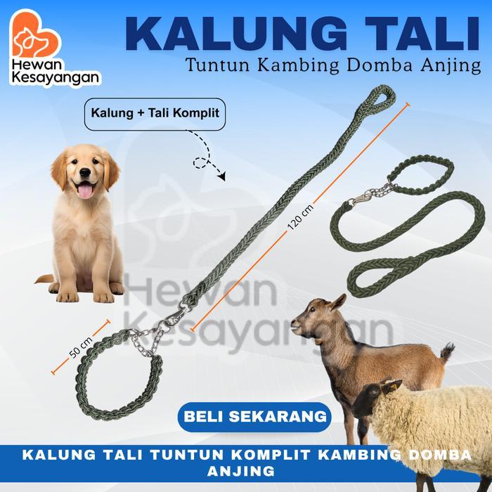 Kalung Dan Tali Tuntun Kambing Domba Komplit Untuk Merawat Kambing Dan Domba