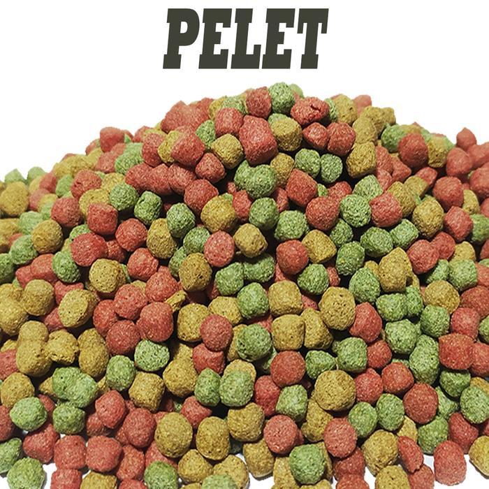 TERLARIS 250GR PAKAN SULKATA SULCATA MAKANAN KURA KURA DARAT TORTOISE FOOD PELET INDIAN STAR INSTAR