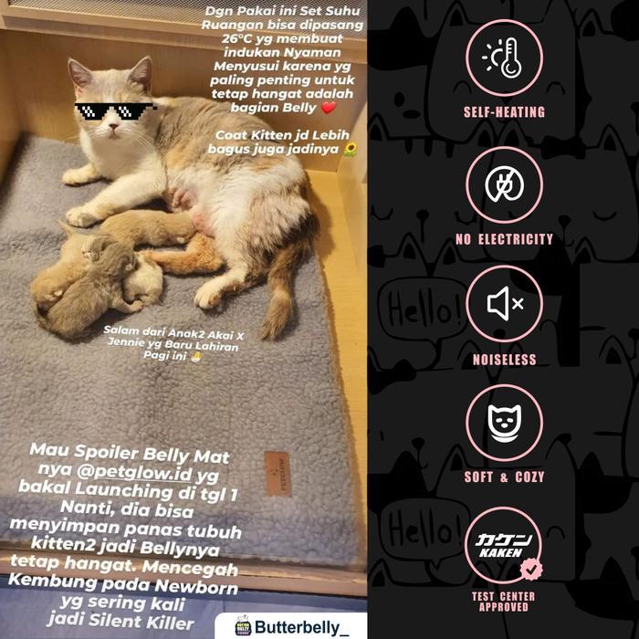 Lariss Maniss Petglow Baby Bear Belly Mat Anti Kembung Heating Pad Kucing Tanpa Listrik